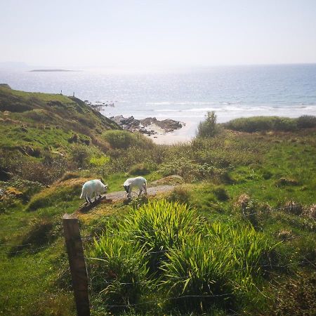 Anne'S Thatched Cottage Kilcar Dış mekan fotoğraf