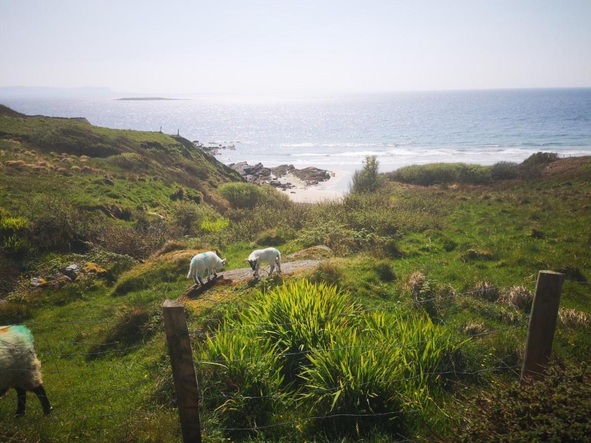 Anne'S Thatched Cottage Kilcar Dış mekan fotoğraf